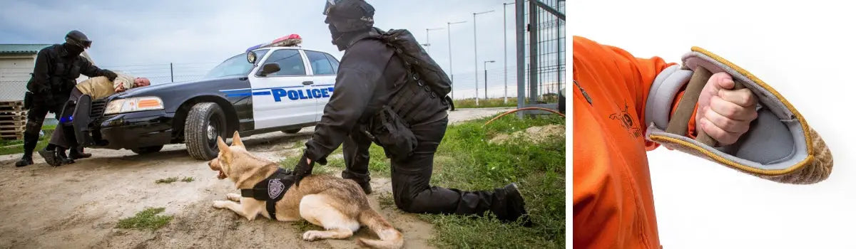 Working Dog Training Gear