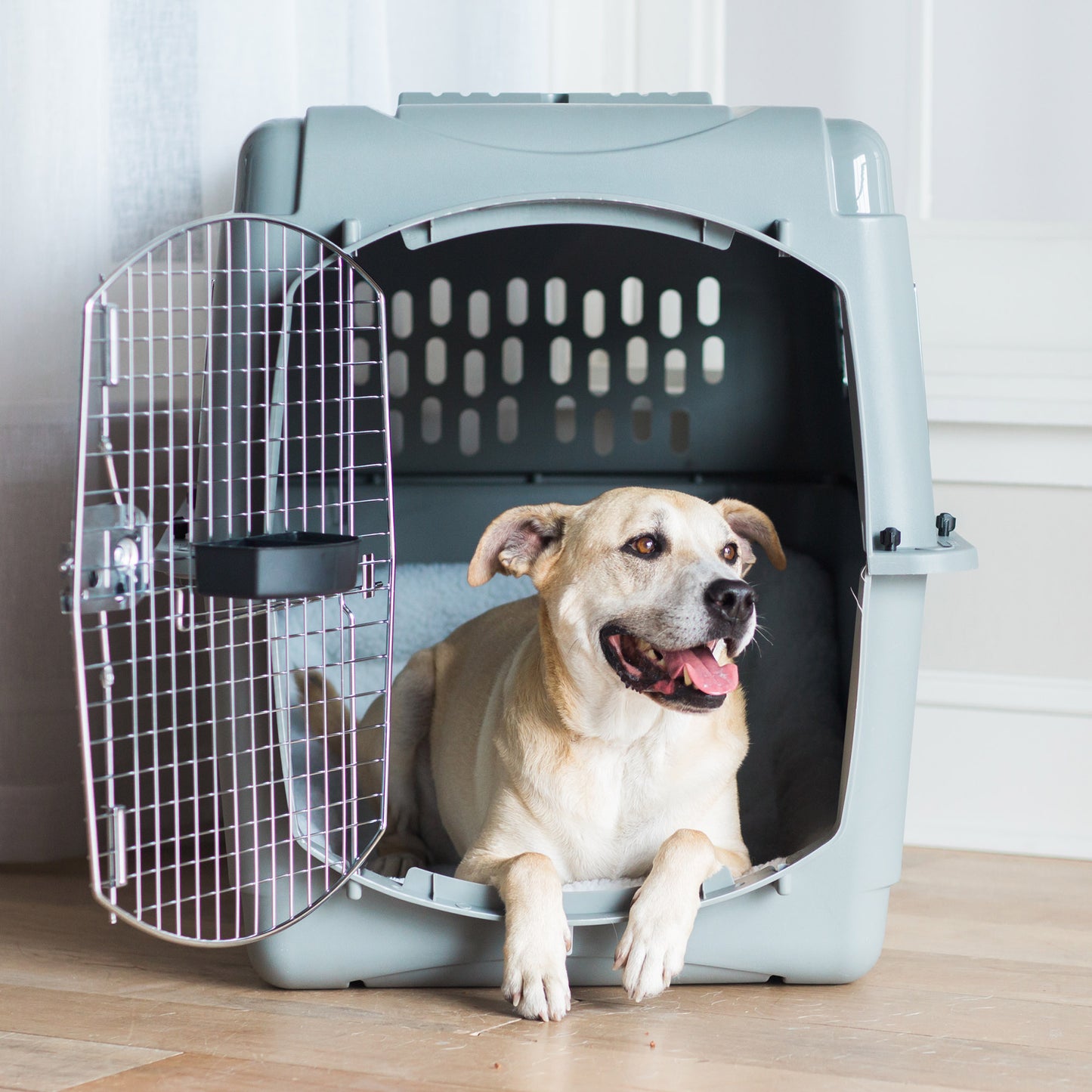 Petmate Sky Kennel