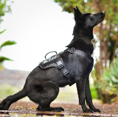 War Dog Arrow Harness