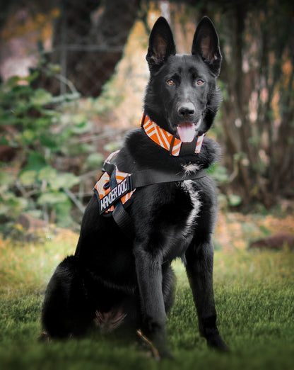 Wander Dog Easy Fit Harness