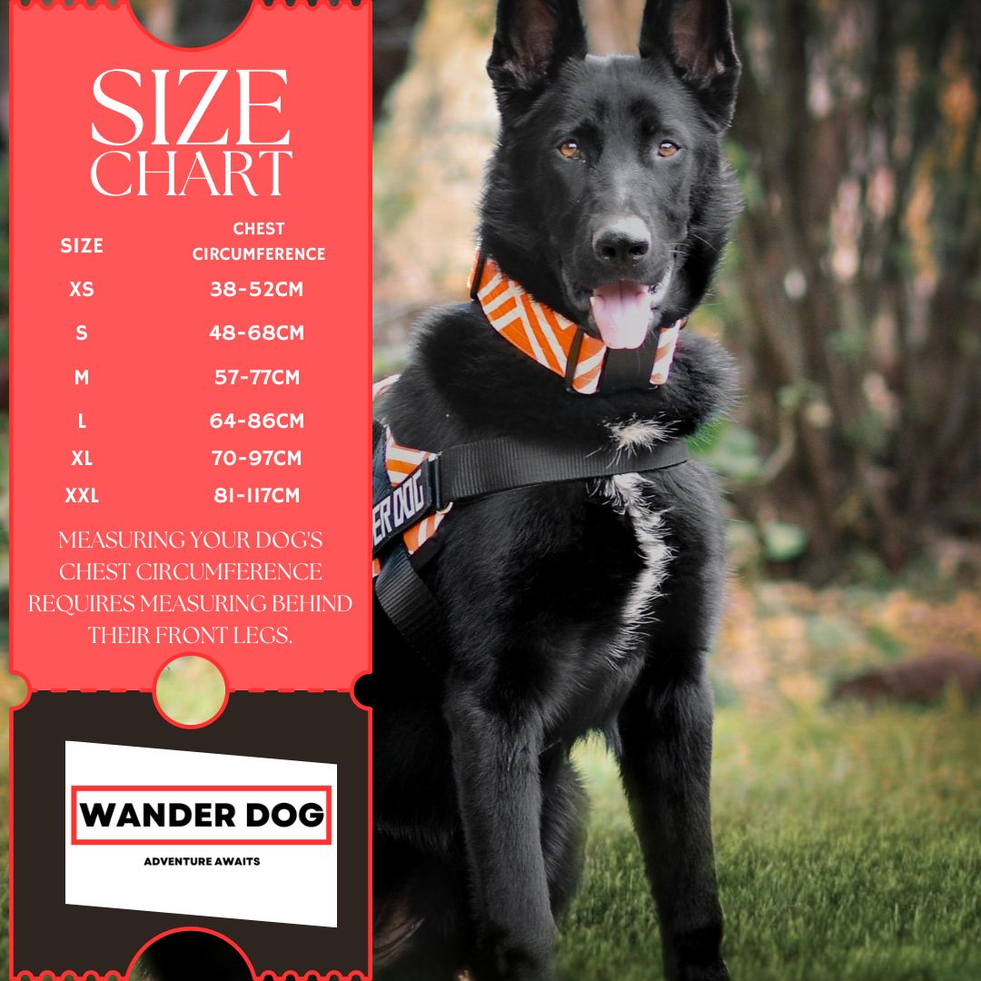 Wander Dog Easy Fit Harness