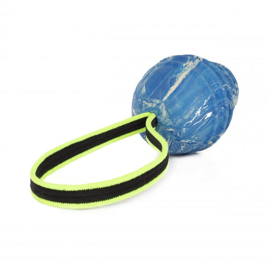 Julius K-9 Duo Play Ball - Antibacterial