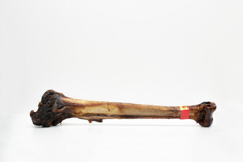 Ostrich Cave Man Bone