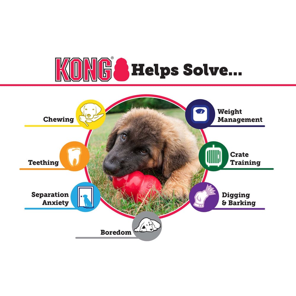 Kong Extreme Ball - Pet Bound Co.