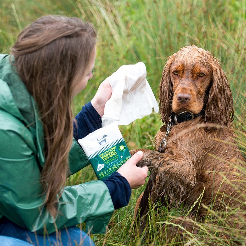 Hownd - Yup You Stink! Emergency Antibacterial Dog Wipes - Pet Bound Co.