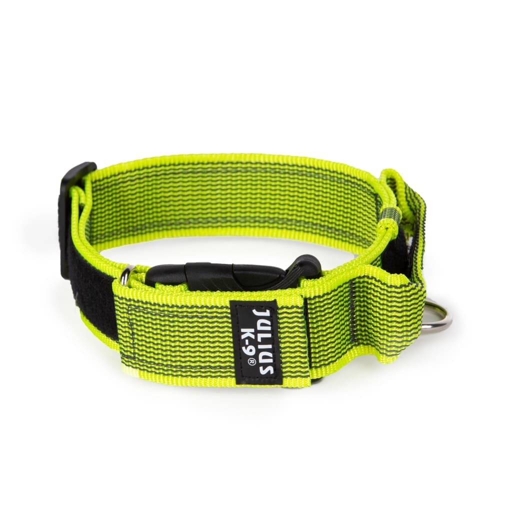 Julius K-9 Collar with Handle - Collar