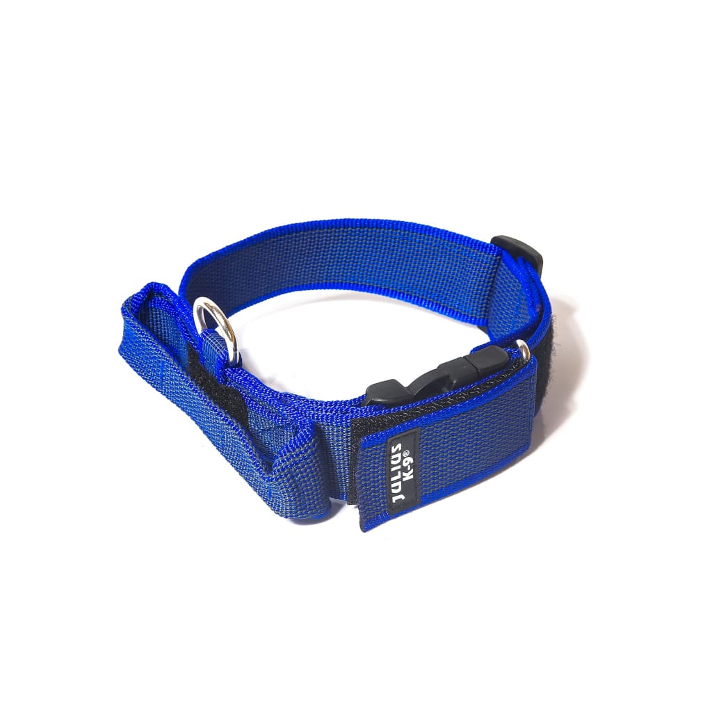 Julius K-9 Collar with Handle - Collar