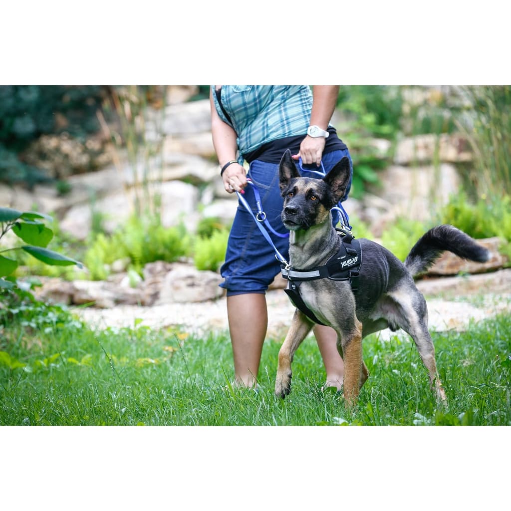 Julius K-9 Front Control Y-Belt - Size Mini - Pet Bound Co.