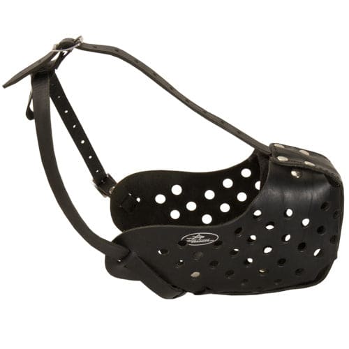 Leather Agitation Muzzle - Pet Bound Co.