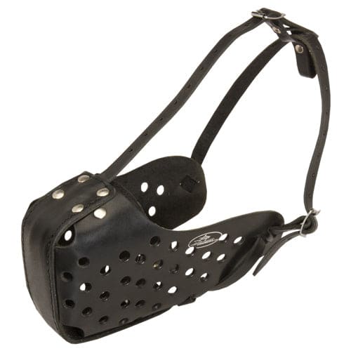 Leather Agitation Muzzle - Pet Bound Co.