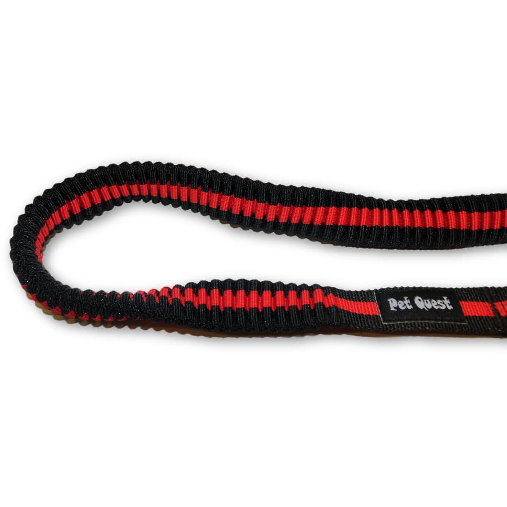 Pet Quest Bungee Leash - Red & Blue - Pet Bound Co.