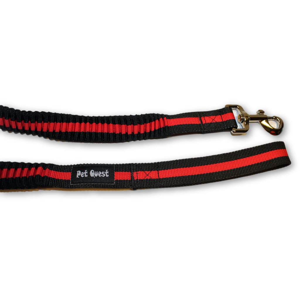 Pet Quest Bungee Leash - Red & Blue - Pet Bound Co.