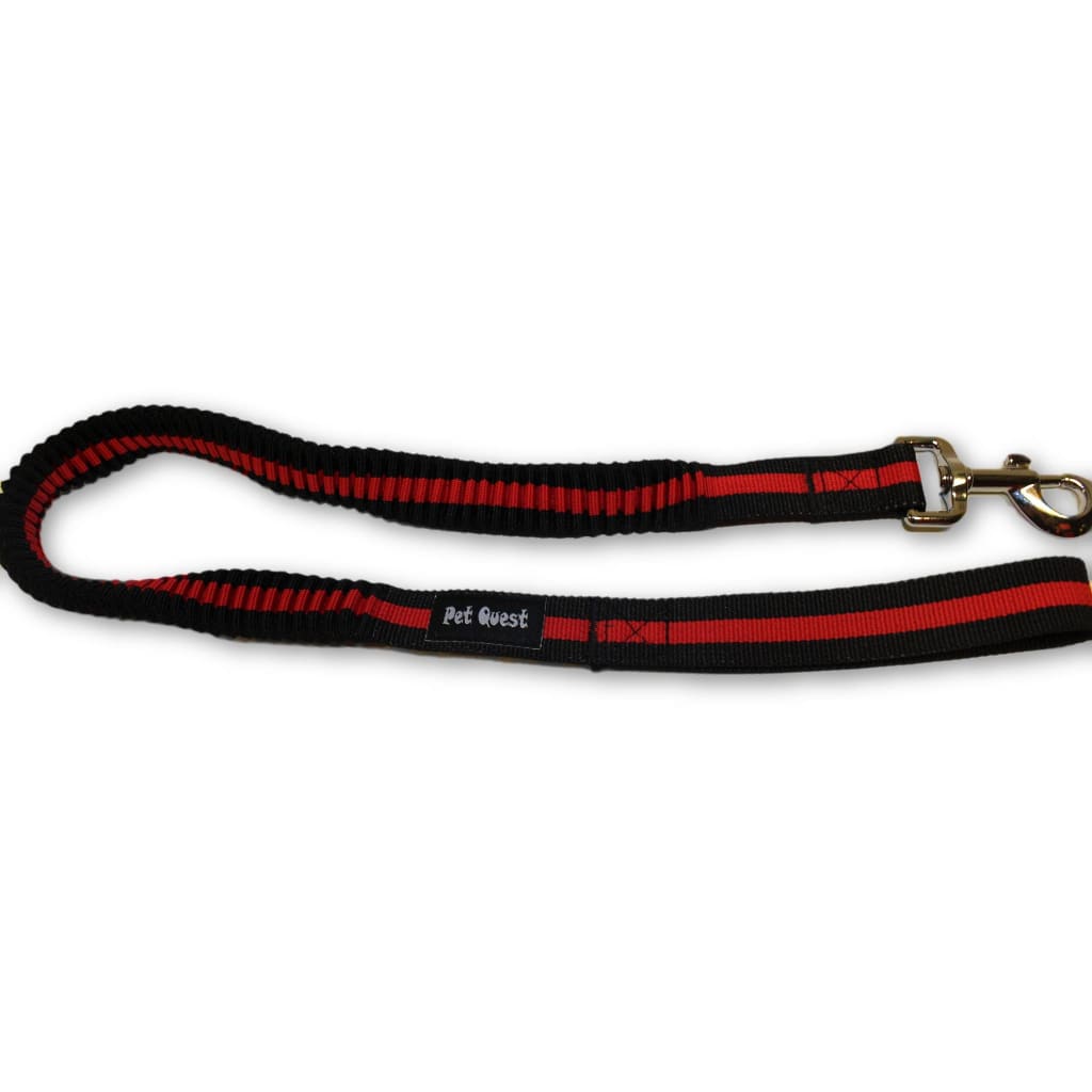 Pet Quest Bungee Leash - Red & Blue - Pet Bound Co.