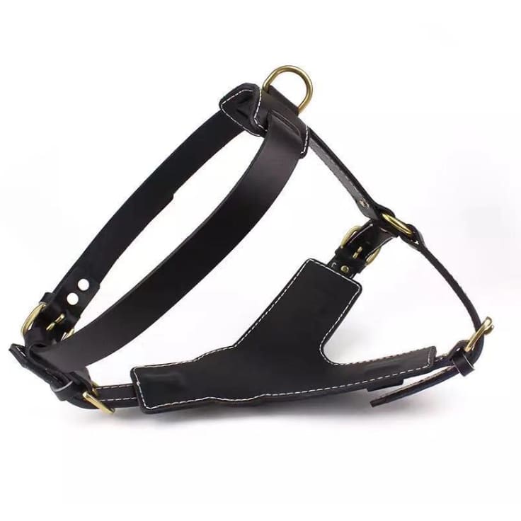 Chest Harness Y Shape, HEAVY DUTY Genuine Leather, Puppy Play