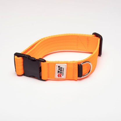 War Dog 38mm Light Collar - echo collar