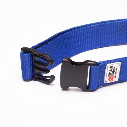 War Dog 38mm Light Collar - echo collar