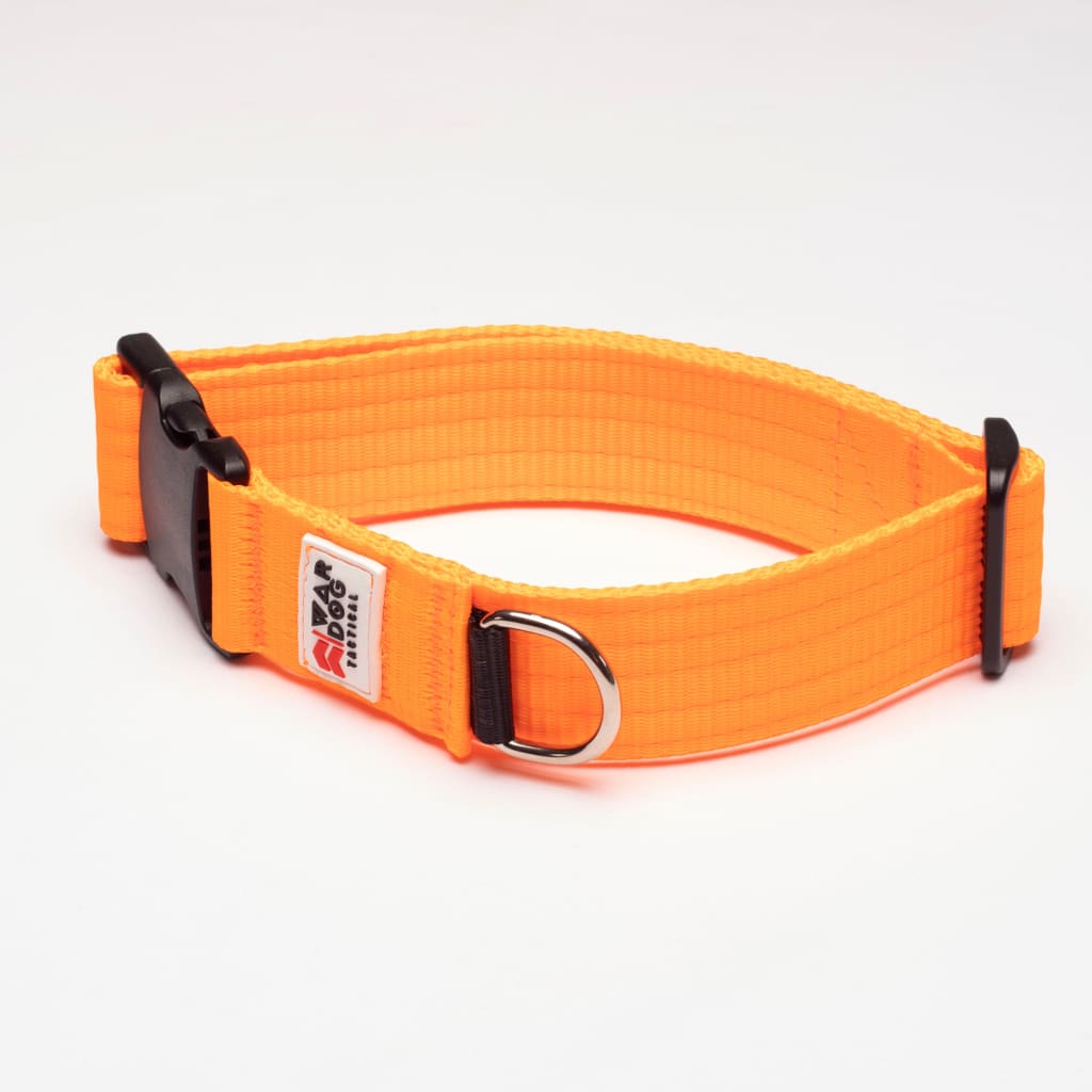 War Dog 38mm Light Collar - echo collar