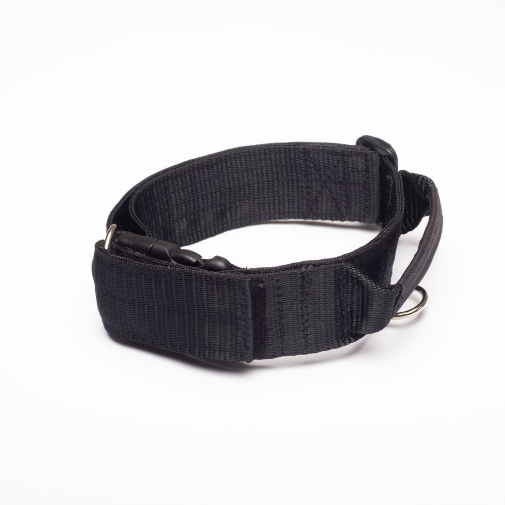 War Dog 50mm Handle Collar - Dog Apparel