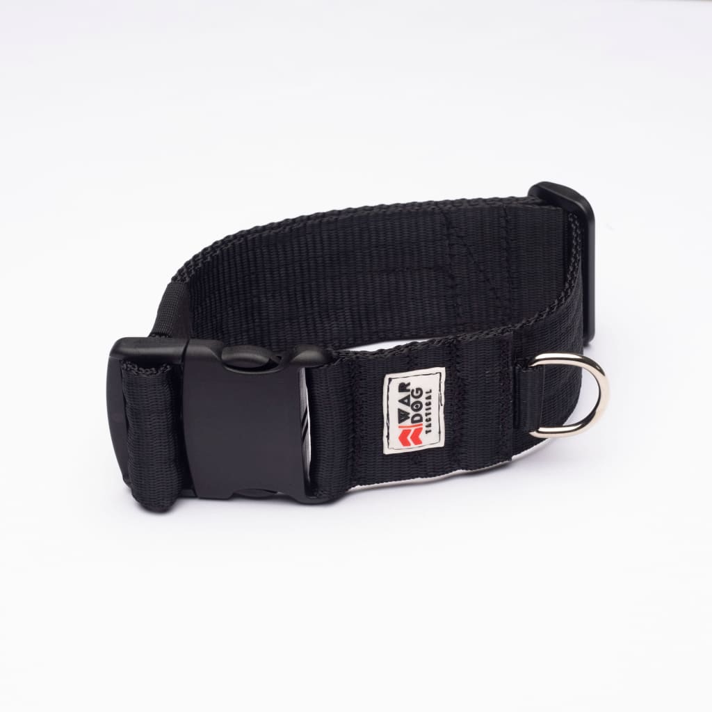 War Dog 50mm Light Collar - echo collar