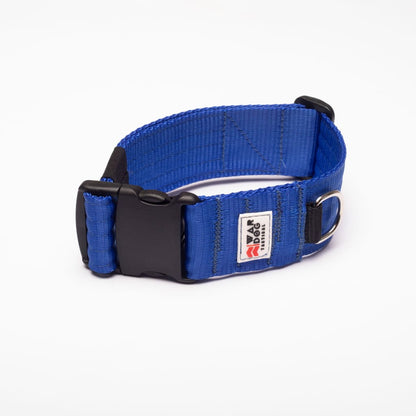 War Dog 50mm Light Collar - echo collar