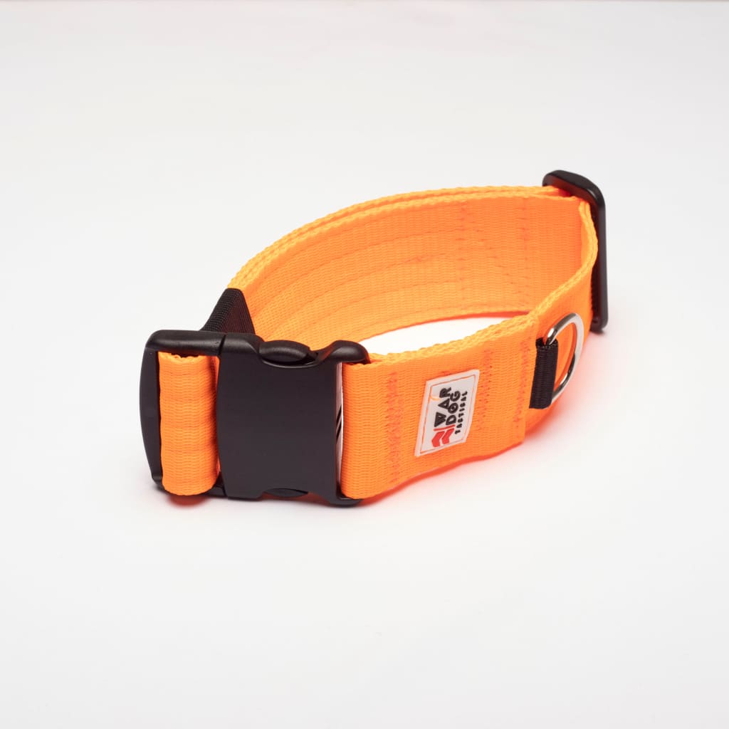 War Dog 50mm Light Collar - echo collar