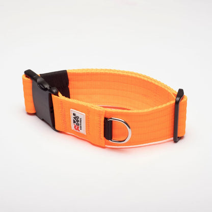 War Dog 50mm Light Collar - echo collar