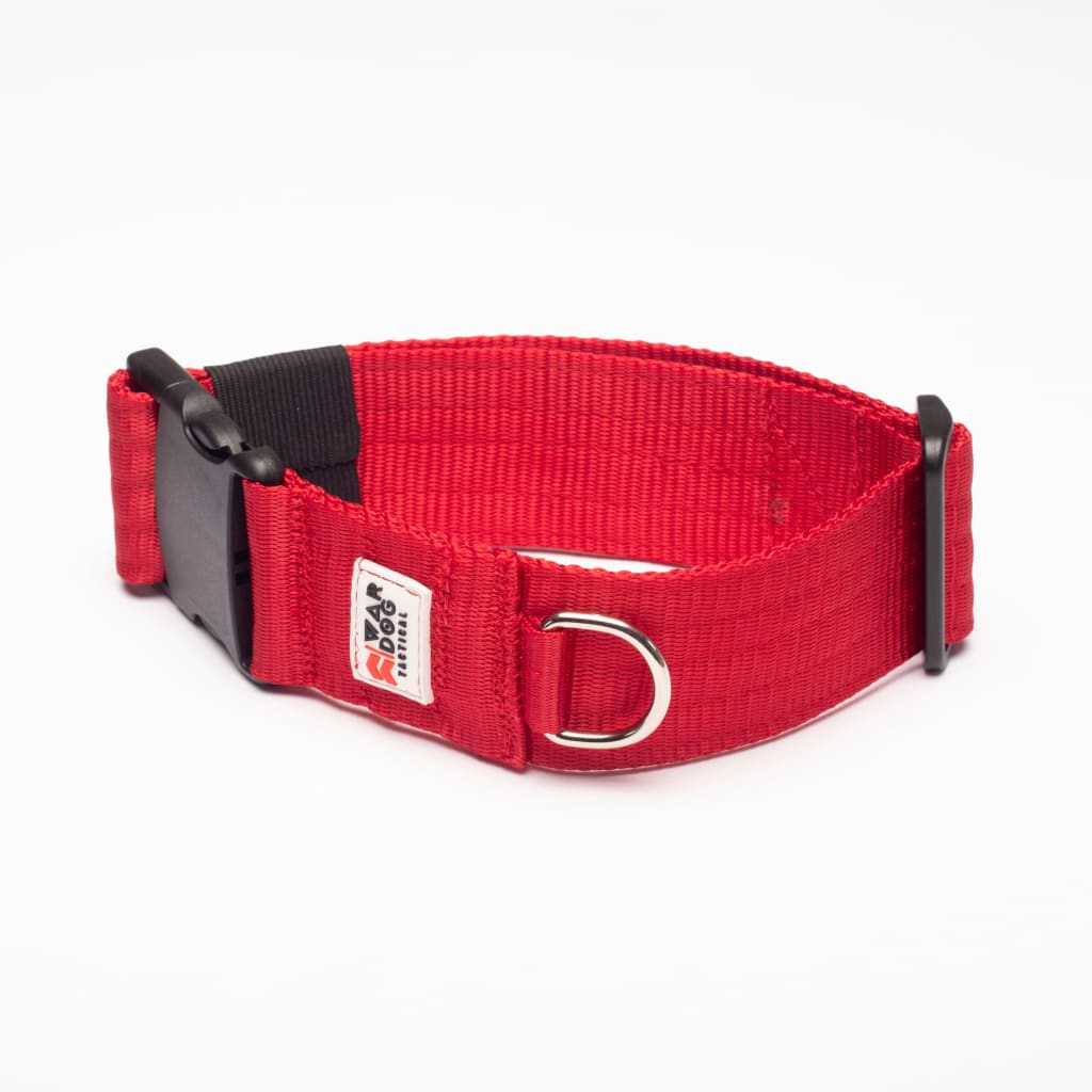 War Dog 50mm Light Collar - echo collar