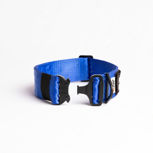 War Dog FOXTROT RIGID Collar - 50mm - foxtrot collar