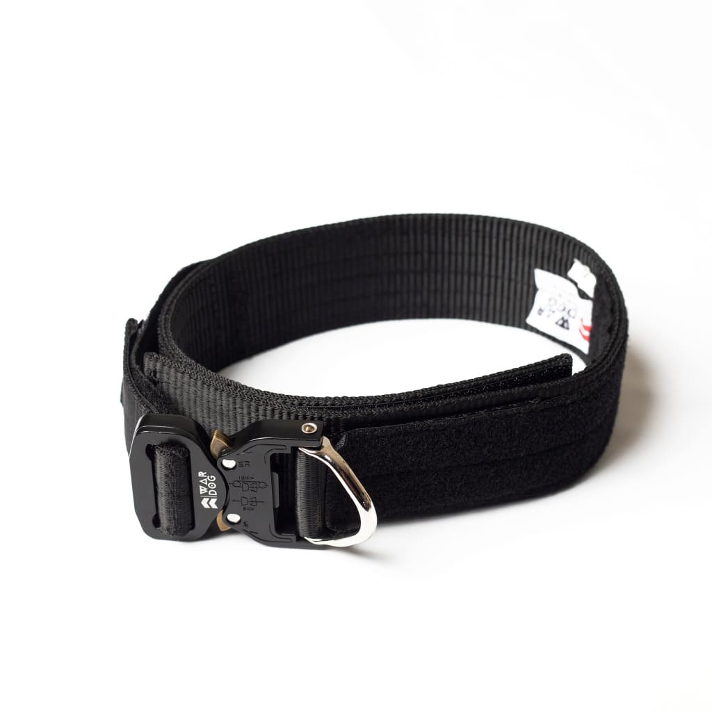 War Dog Ranger Collar - ranger collar